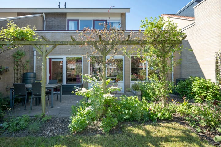 Foto 24 van Grote Stern 50