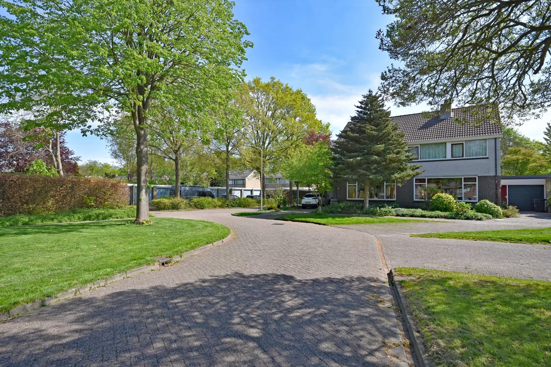 Foto 2 van Renbaan 9