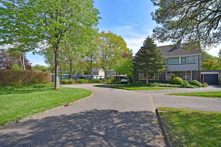 Foto 2 van Renbaan 9