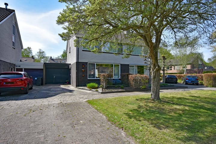 Foto 5 van Renbaan 9