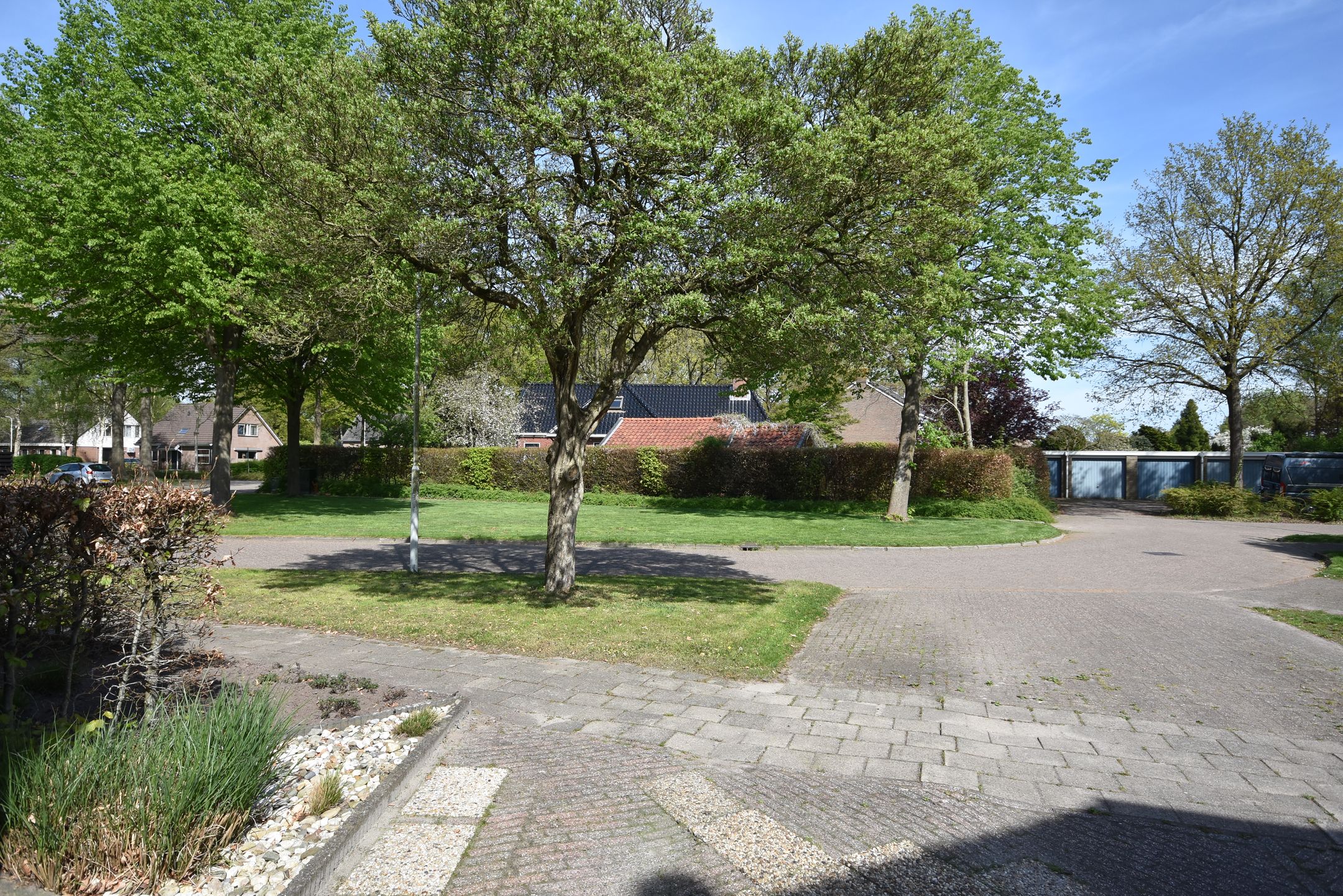 Foto 6 van Renbaan 9