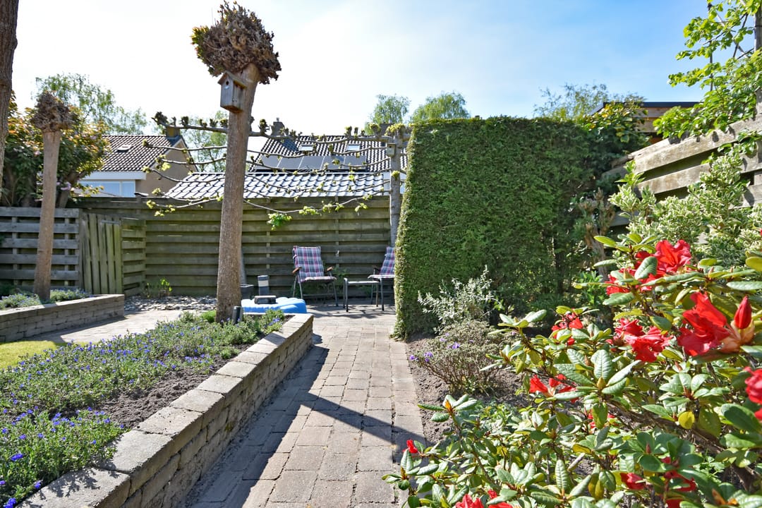 Foto 7 van Renbaan 9