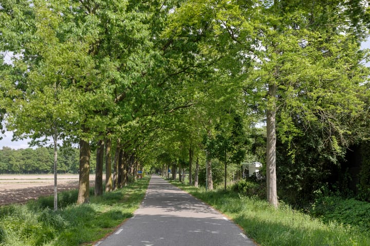Foto 32 van Biesveld 3