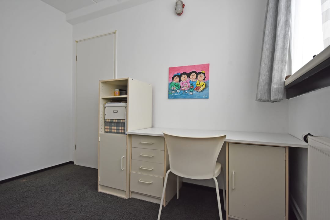 Foto 41 van Renbaan 9