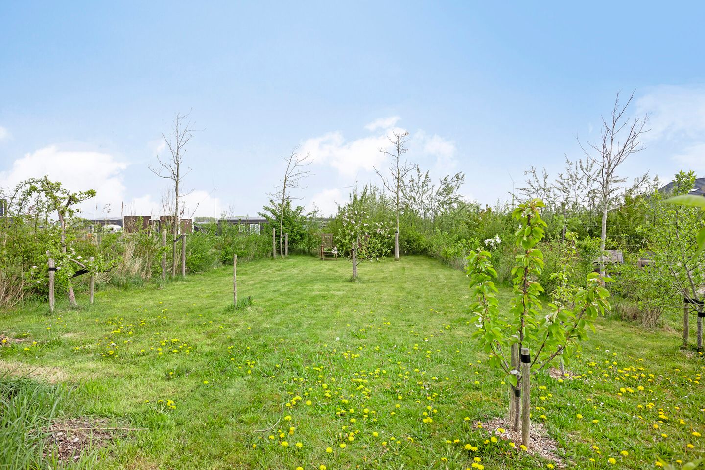 Photo 34 of Het Wold 14