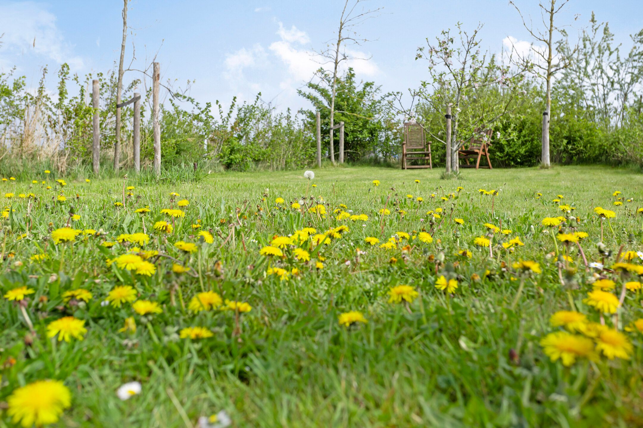 Photo 45 of Het Wold 14