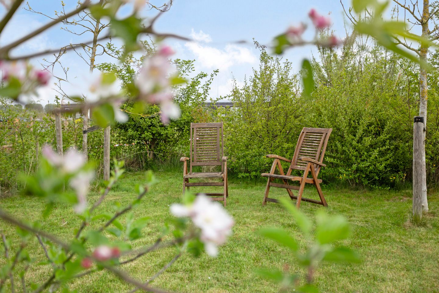 Photo 20 of Het Wold 14