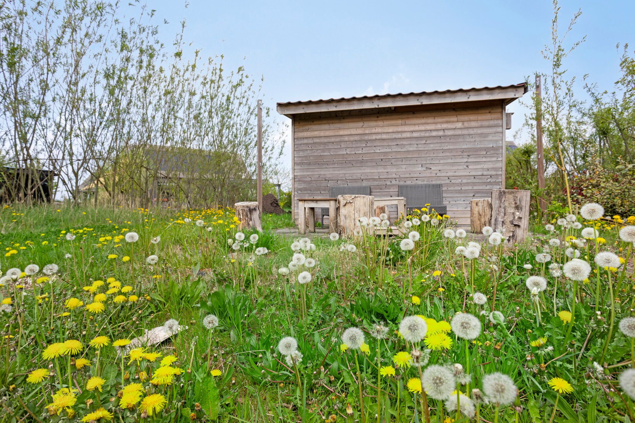 Photo 42 of Het Wold 14