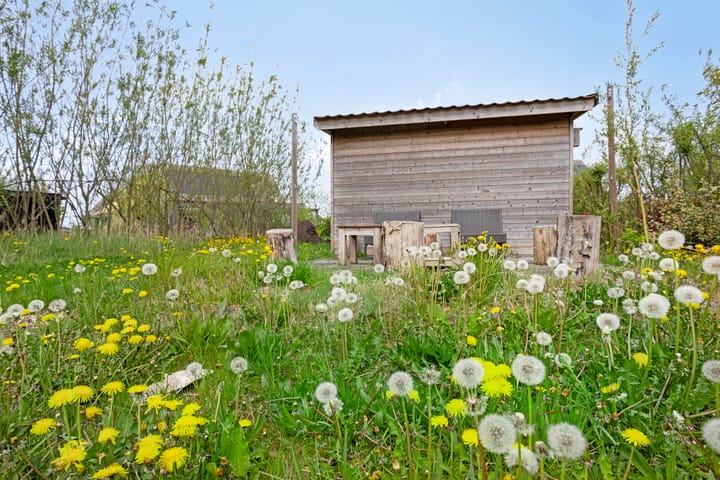 Foto 42 van Het Wold 14