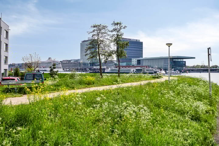 Foto 39 van IJplein 133