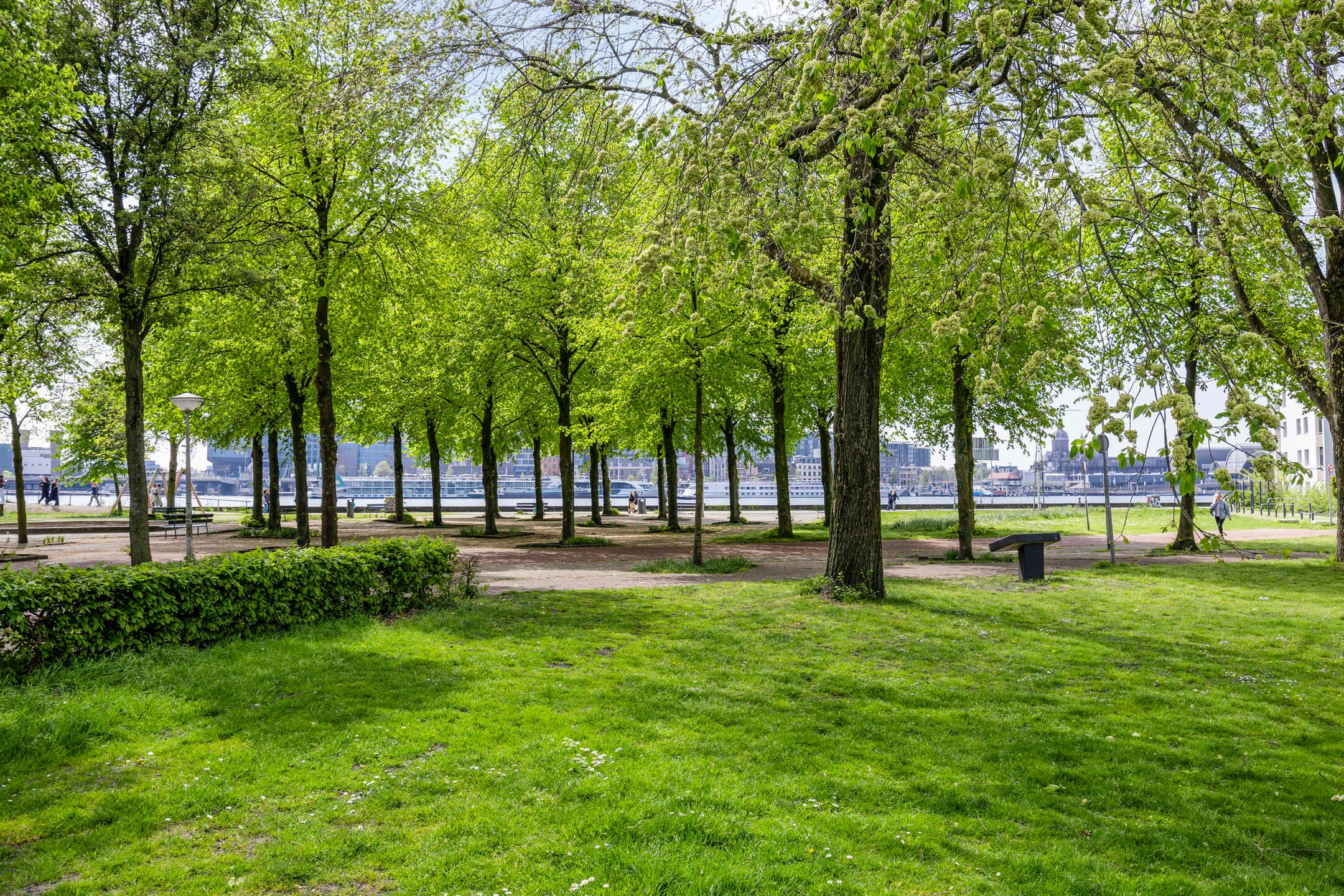 Foto 42 van IJplein 133