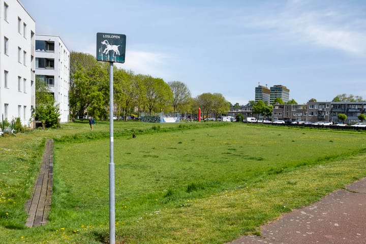 Foto 46 van IJplein 133