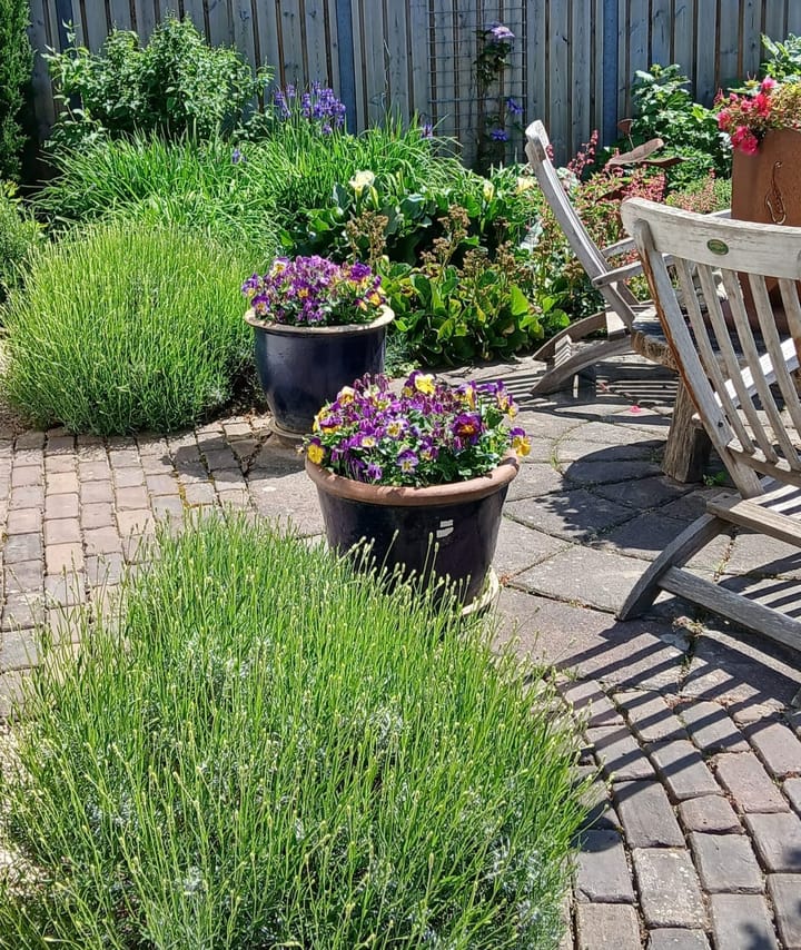 Foto 13 van De Cuyperstraat 1