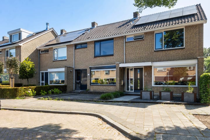 Foto 5 van Kameleonring 24