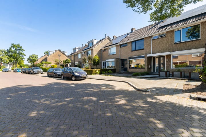 Foto 6 van Kameleonring 24