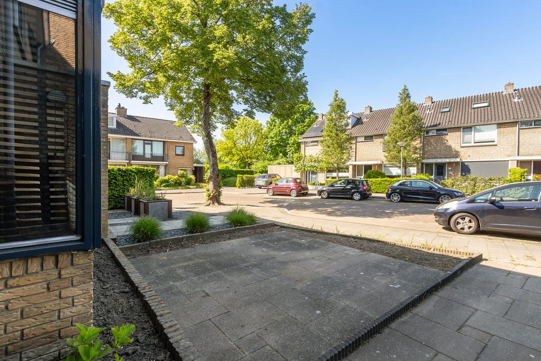 Foto 8 van Kameleonring 24