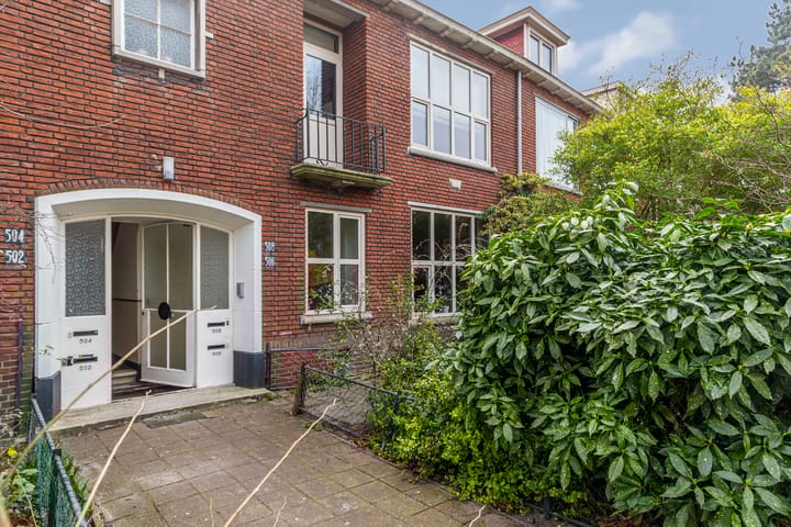 Goudreinetstraat 506