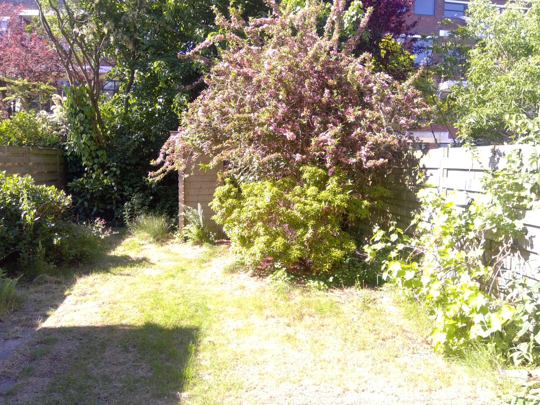 Foto 22 van Goudreinetstraat 506