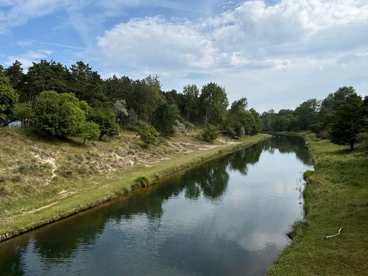 Foto 34 van Zandvoortselaan 113