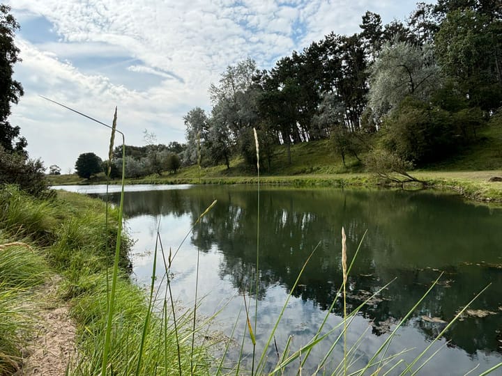 Foto 35 van Zandvoortselaan 113