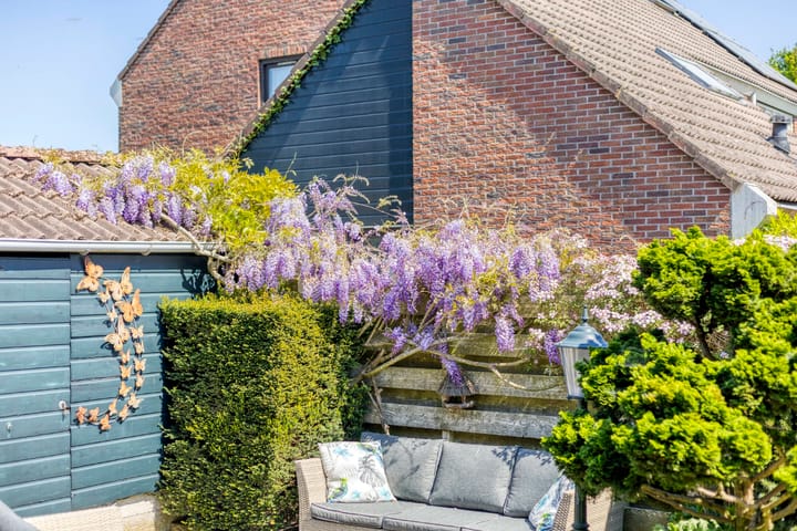 Foto 63 van Groenendael 202