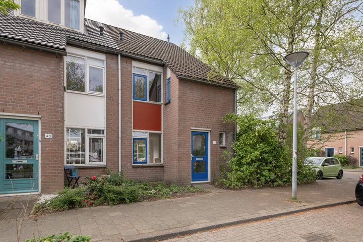 Betuwe 50