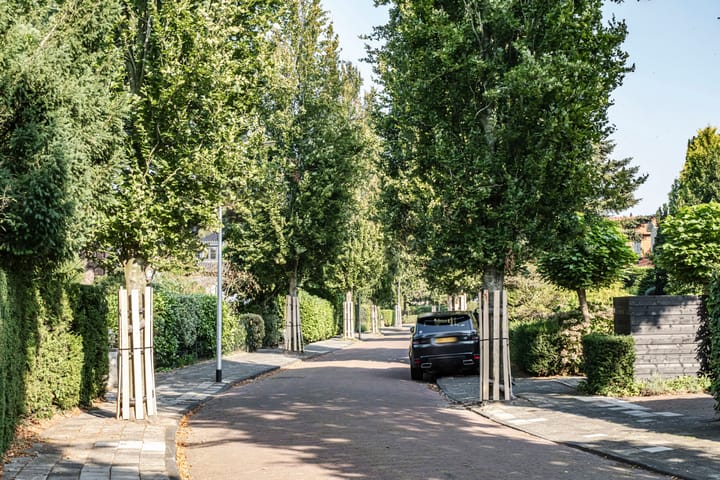 Foto 45 van Krakeling 14