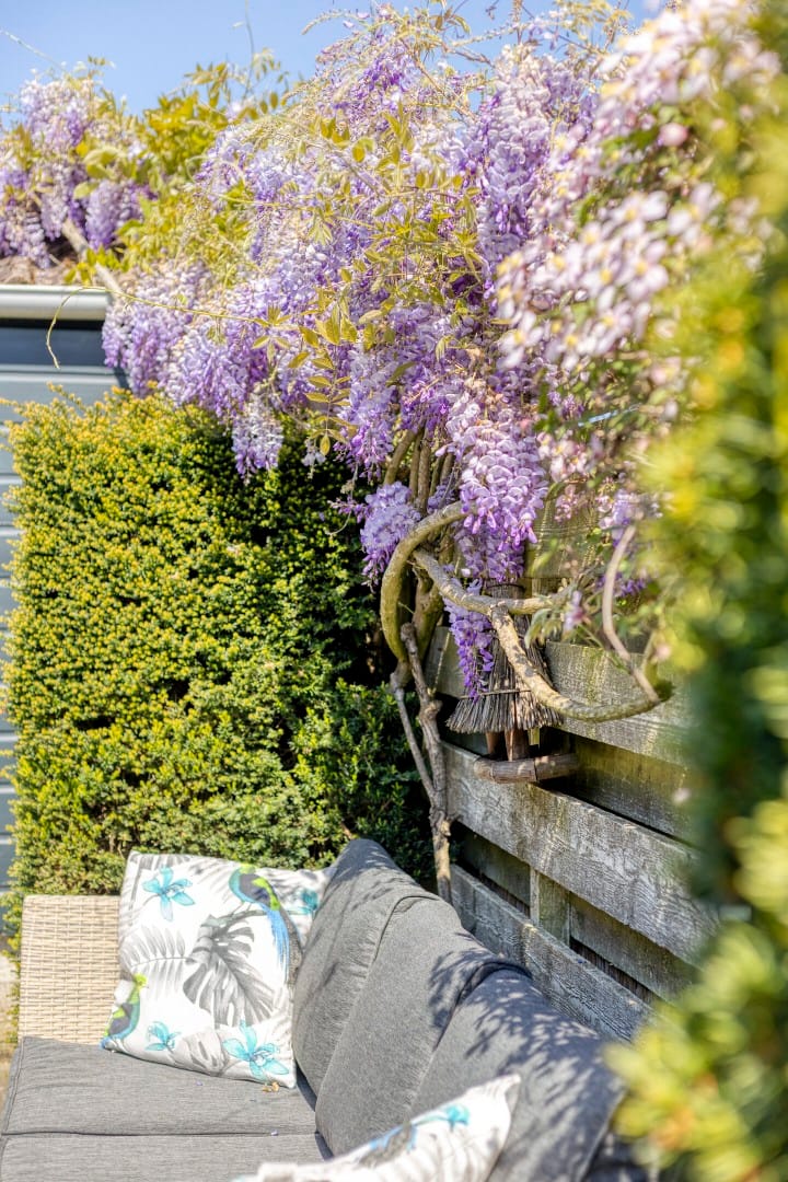 Foto 66 van Groenendael 202