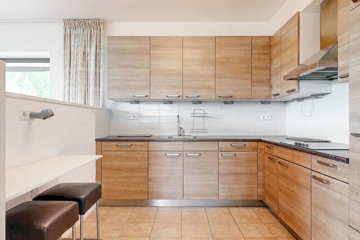 Foto 13 van Drususlaan 163