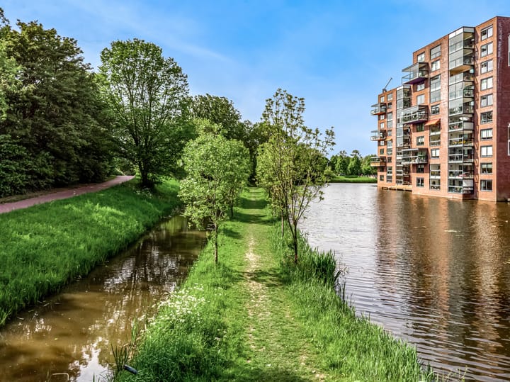 Foto 39 van Drususlaan 163