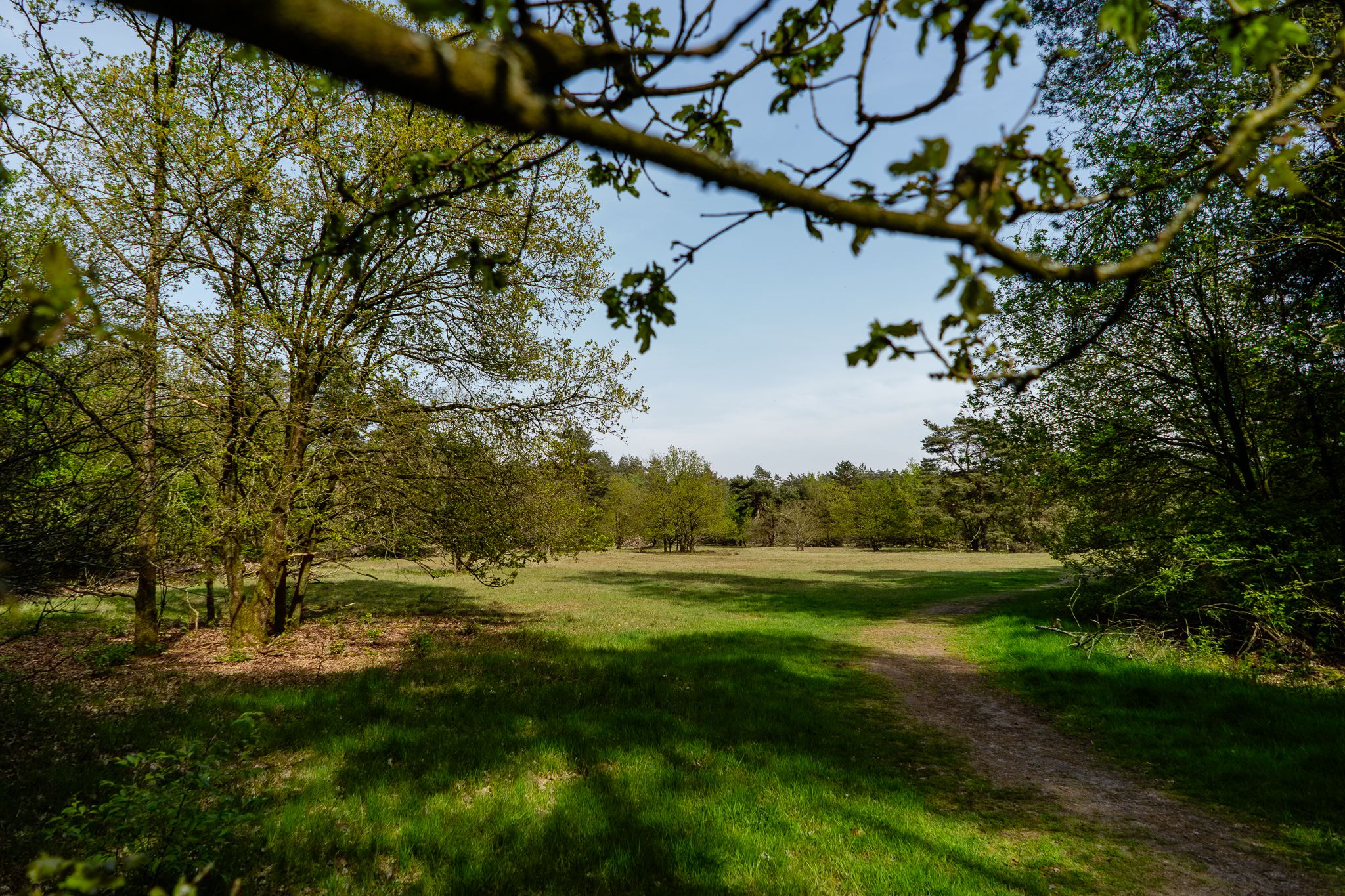 Photo 57 of Kerkendelweg 49-61