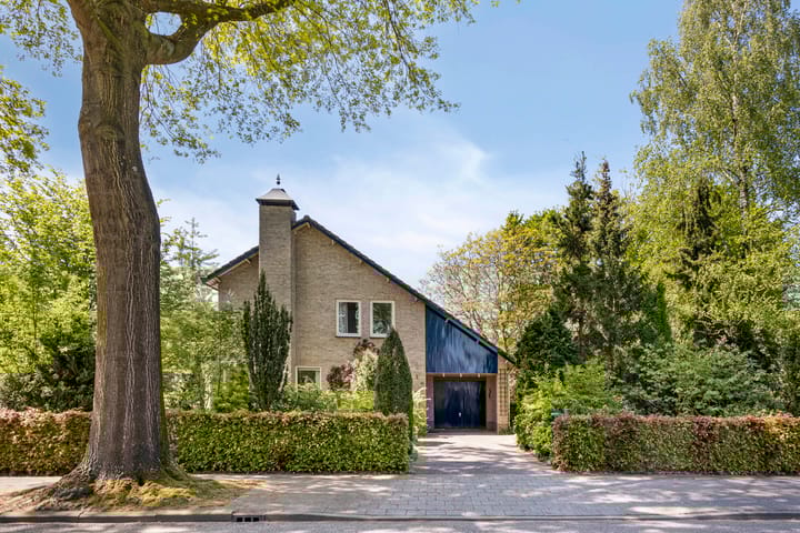 Foto 1 van Koningsvaren 5