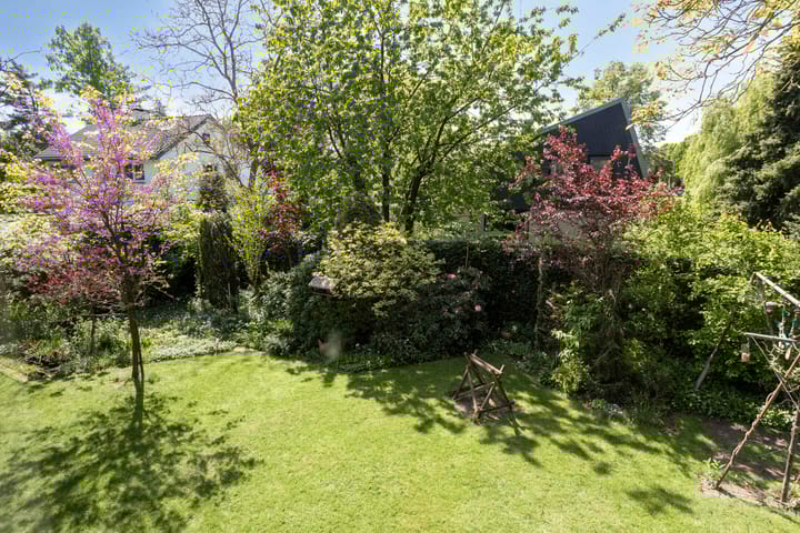 Foto 2 van Koningsvaren 5