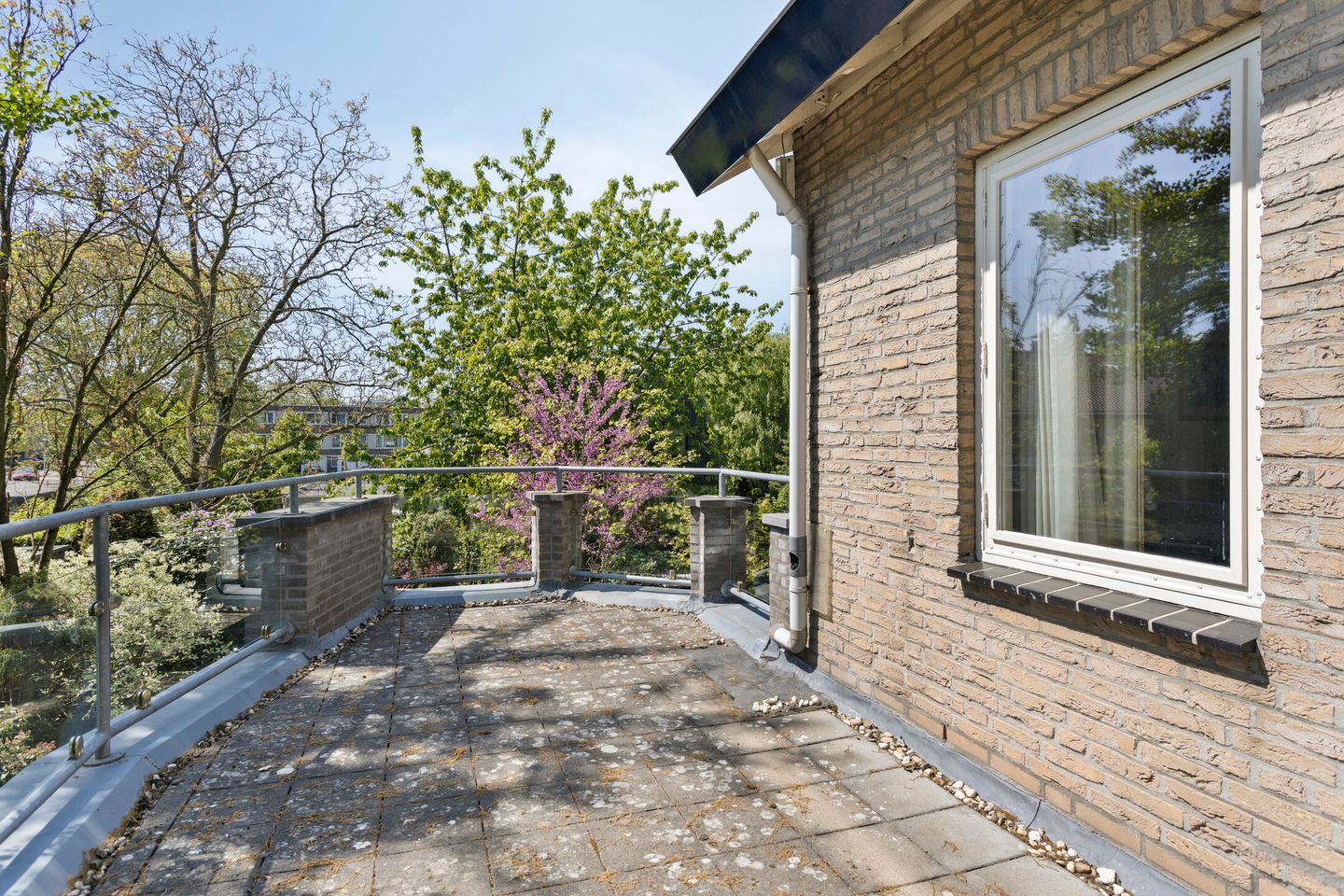 Photo 20 of Koningsvaren 5