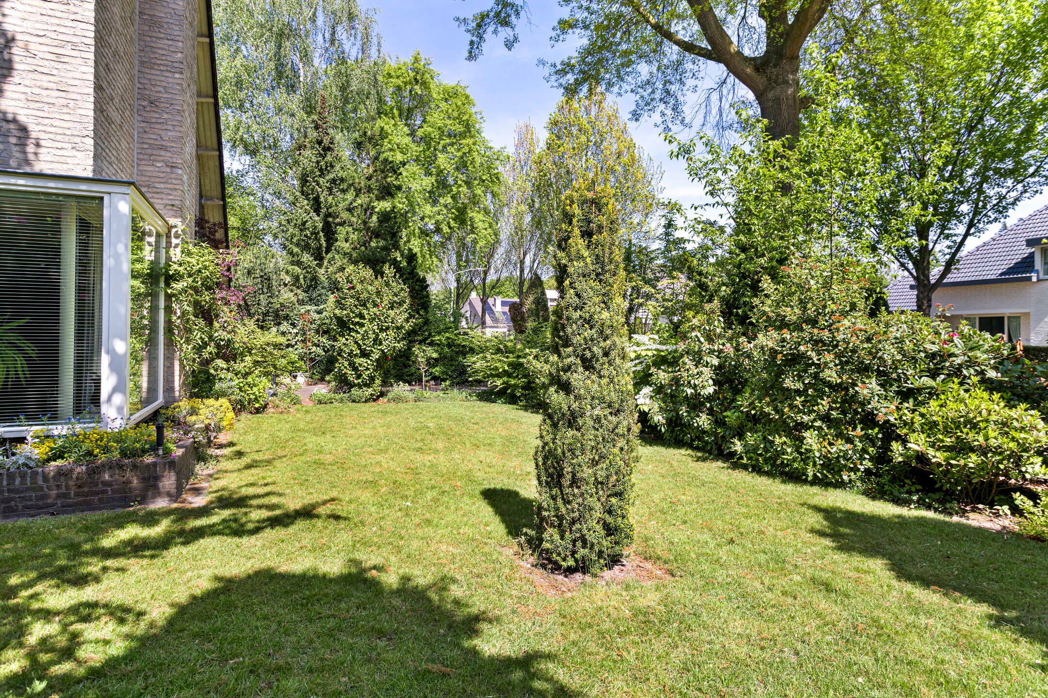 Photo 30 of Koningsvaren 5