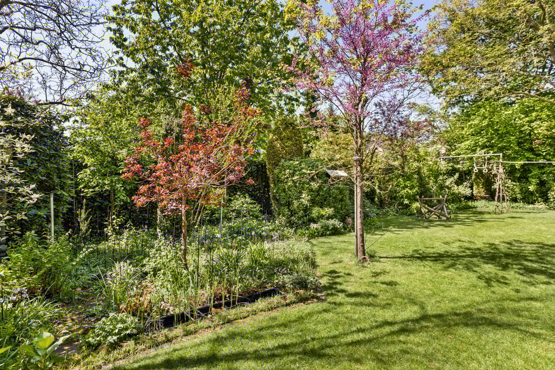 Photo 31 of Koningsvaren 5