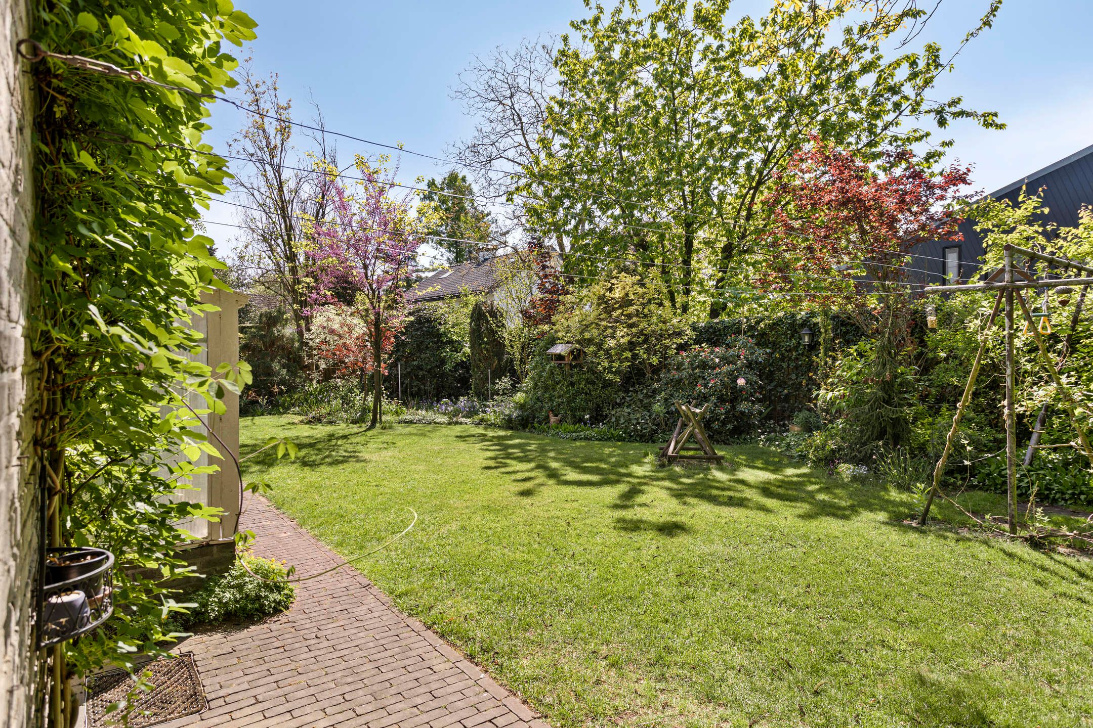 Photo 33 of Koningsvaren 5