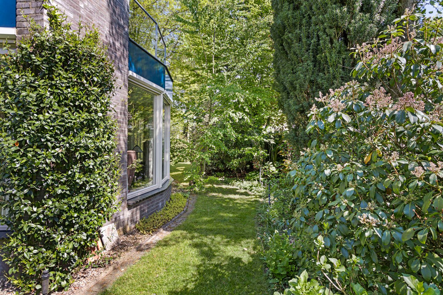 Photo 34 of Koningsvaren 5