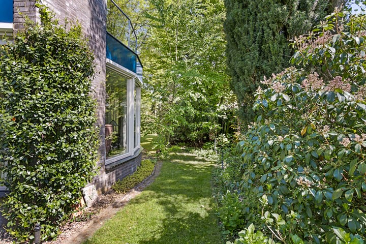 Foto 34 van Koningsvaren 5