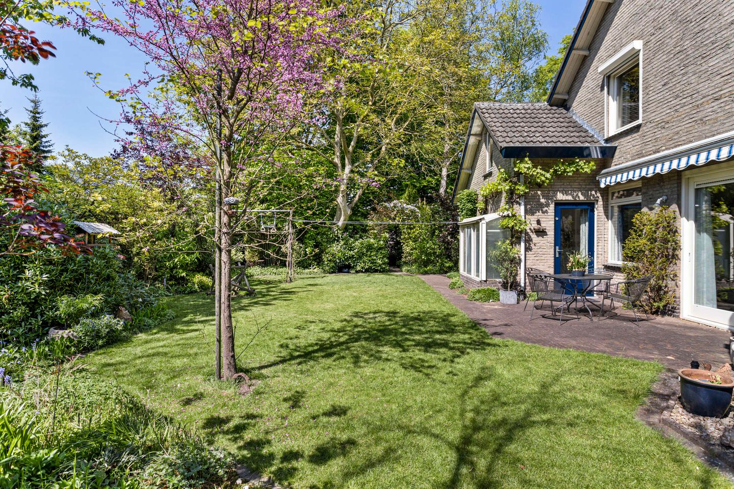 Photo 35 of Koningsvaren 5