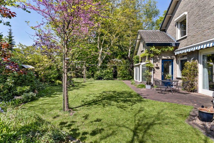 Foto 35 van Koningsvaren 5