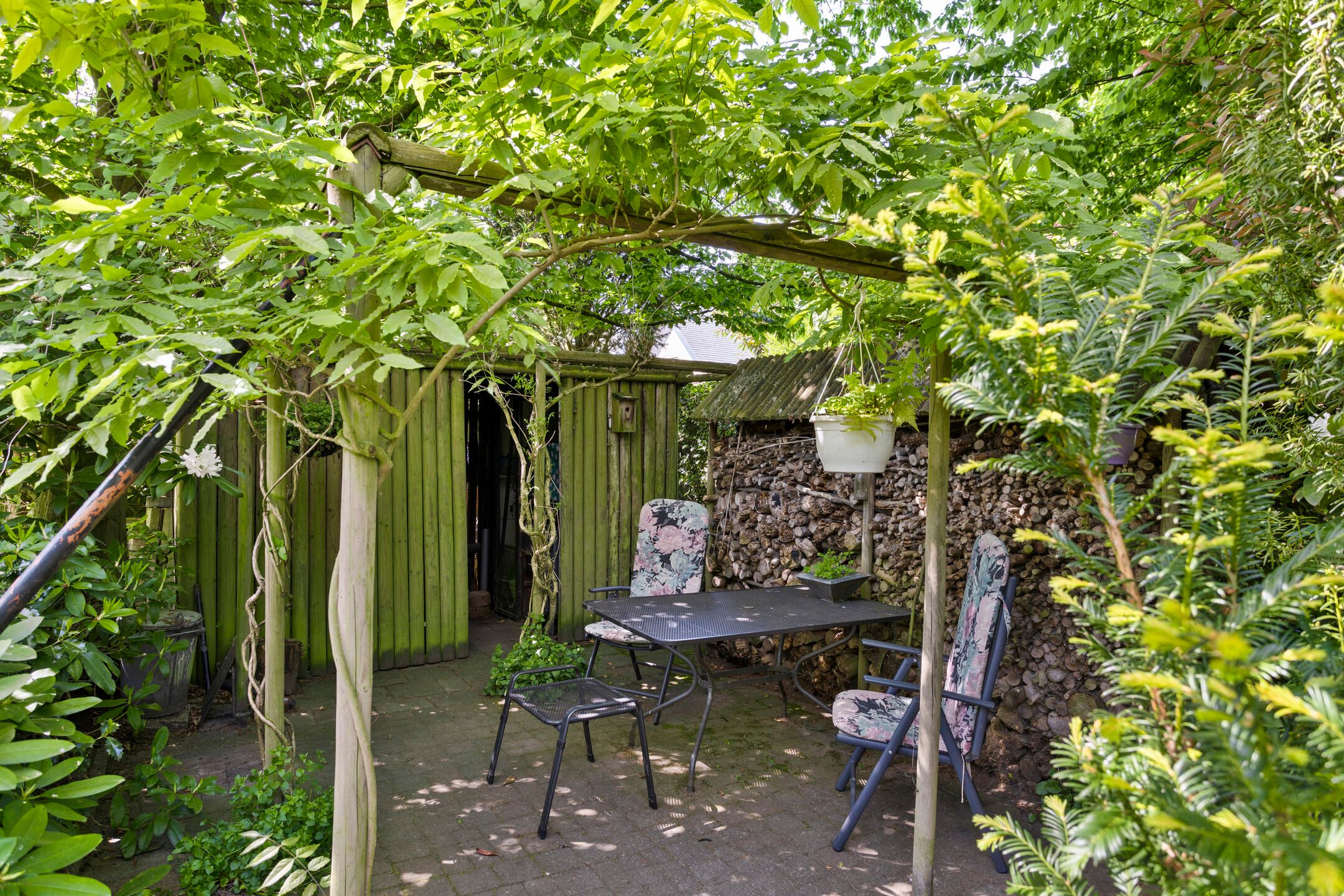 Photo 39 of Koningsvaren 5