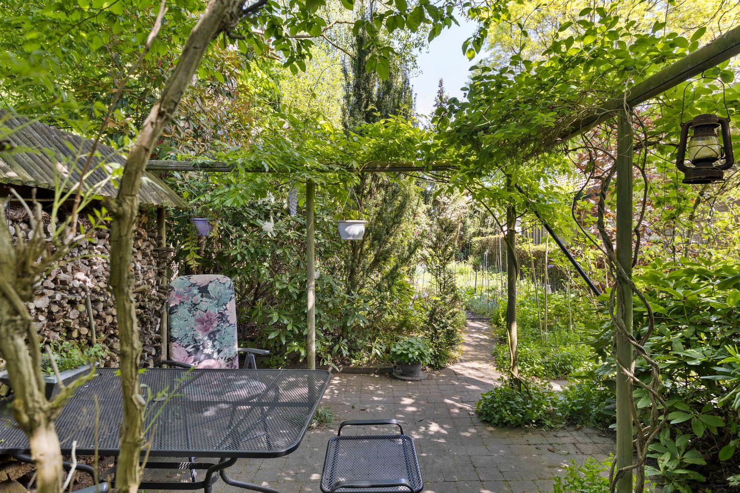 Photo 40 of Koningsvaren 5