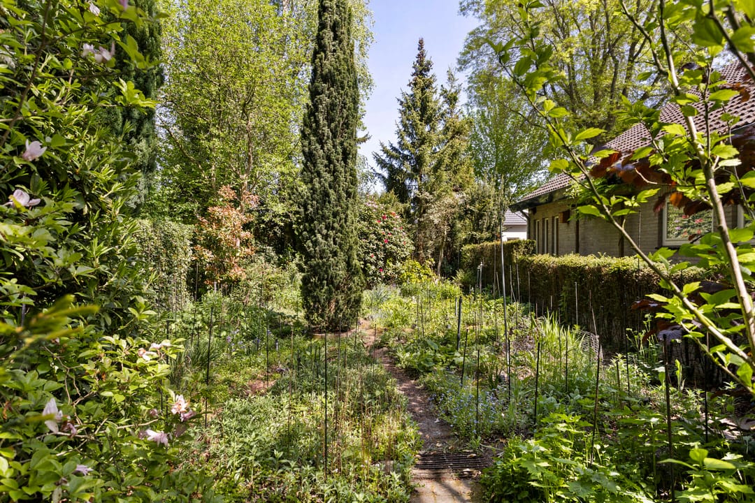 Photo 41 of Koningsvaren 5