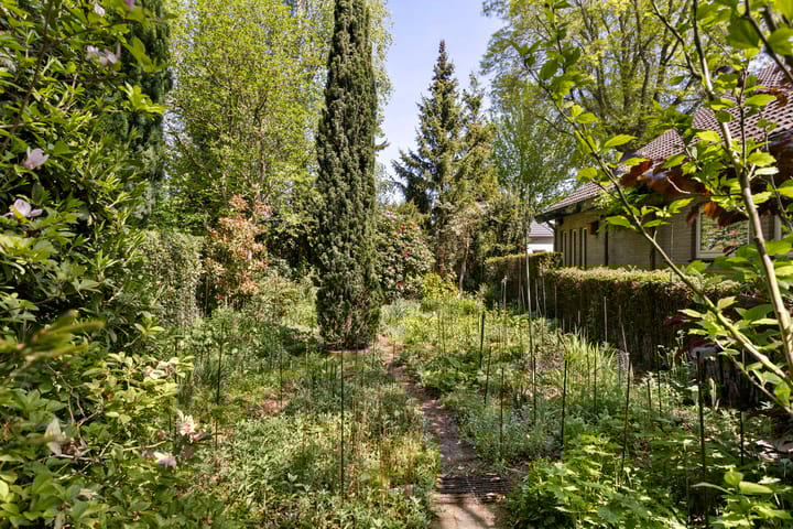 Foto 41 van Koningsvaren 5