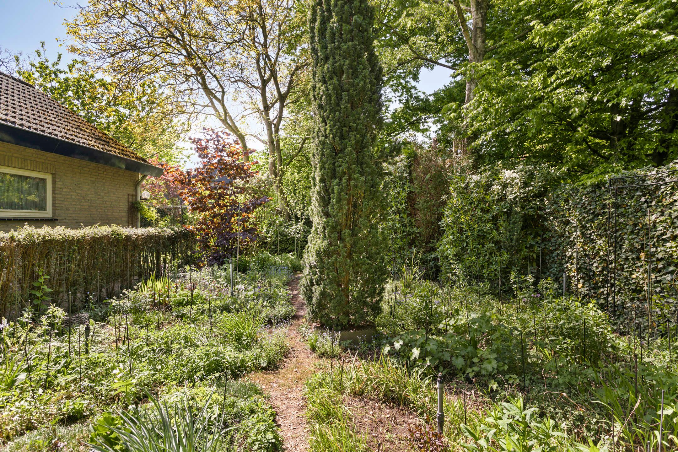 Photo 42 of Koningsvaren 5