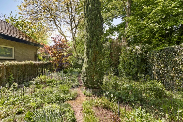 Foto 42 van Koningsvaren 5