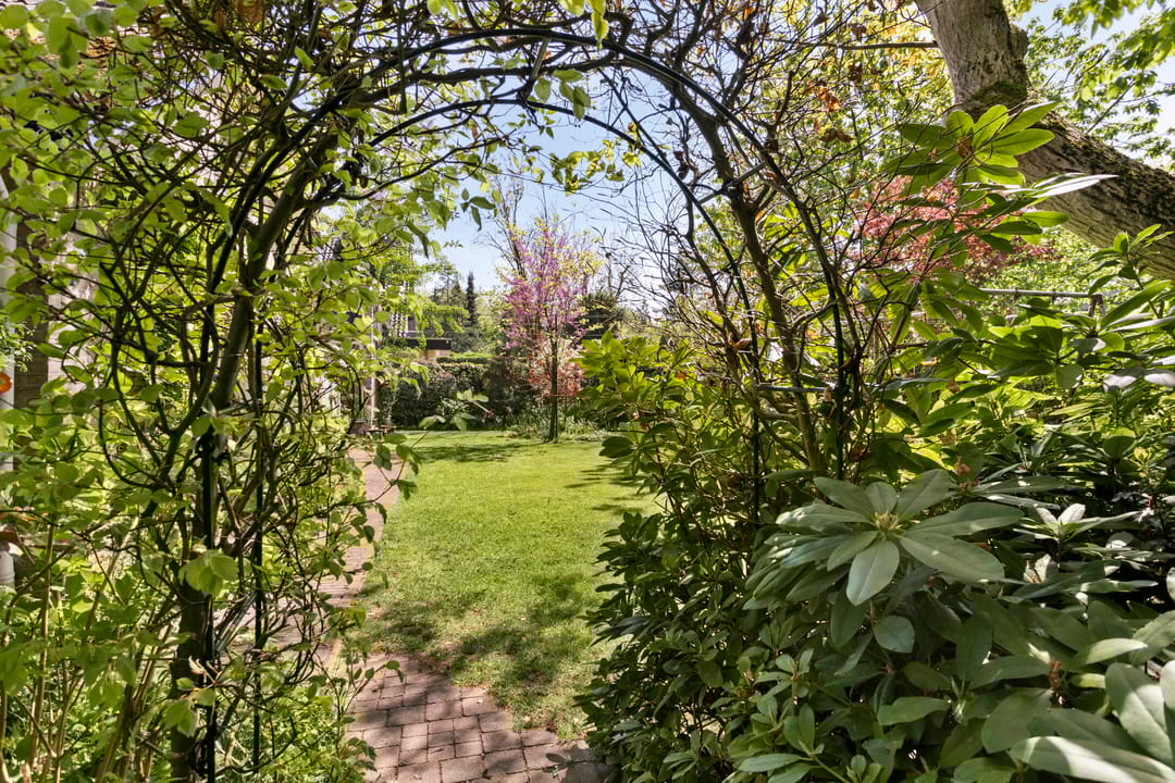 Photo 43 of Koningsvaren 5