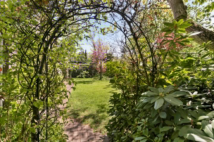 Foto 43 van Koningsvaren 5