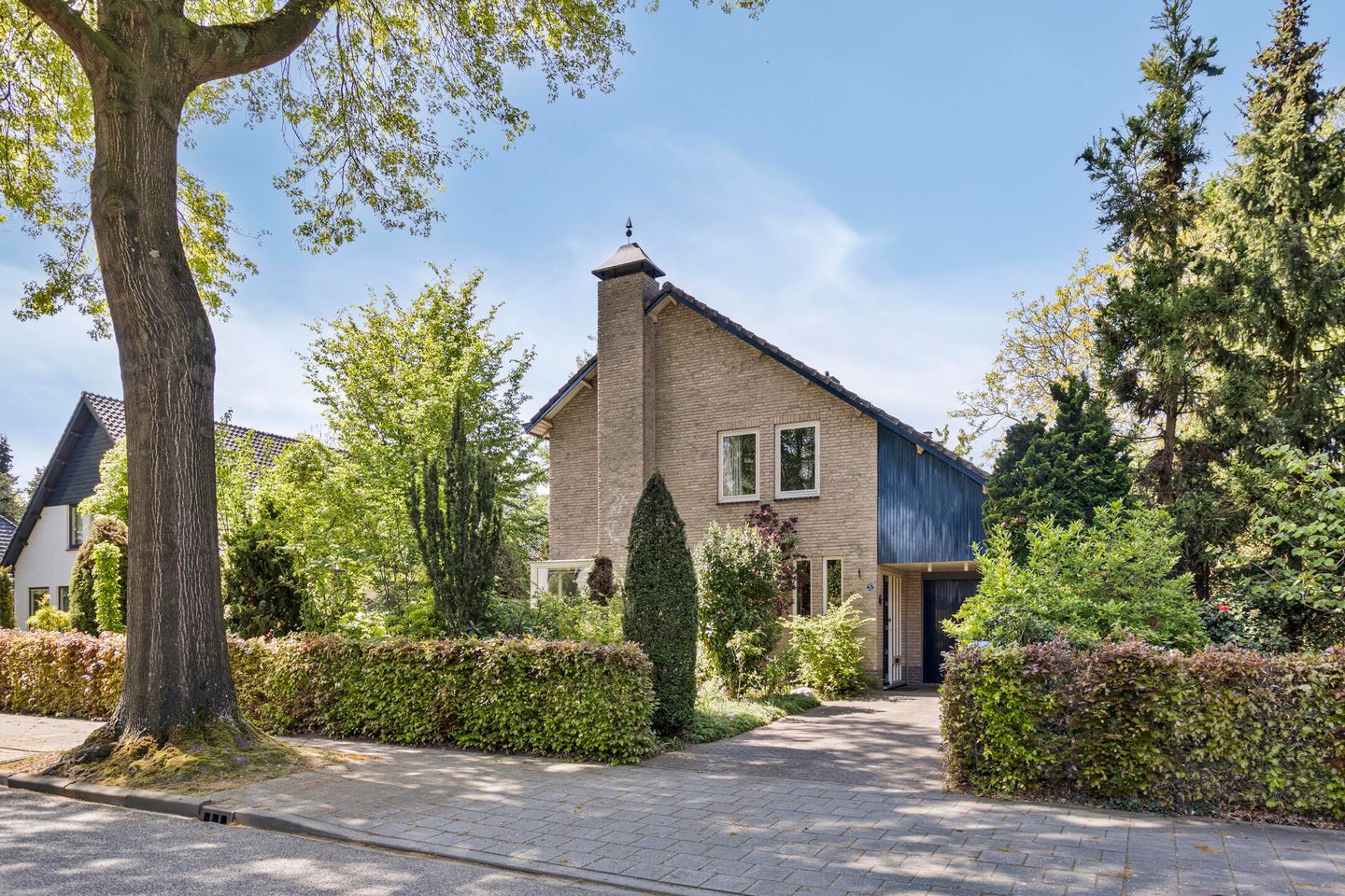 Photo 44 of Koningsvaren 5